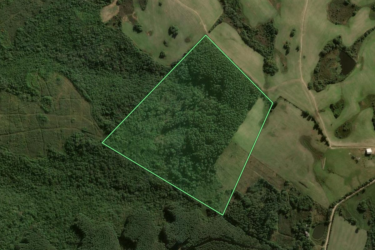 Imagem de satélite do imóvel rural em Dom Feliciano (RS), com o contorno declarado no CAR desenhado por cima.