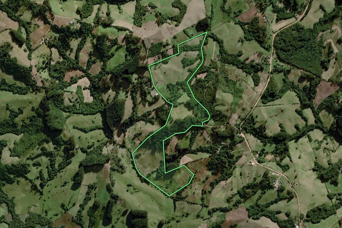 Imagem de satélite do imóvel rural em Dom Feliciano (RS), com o contorno declarado no CAR desenhado por cima.