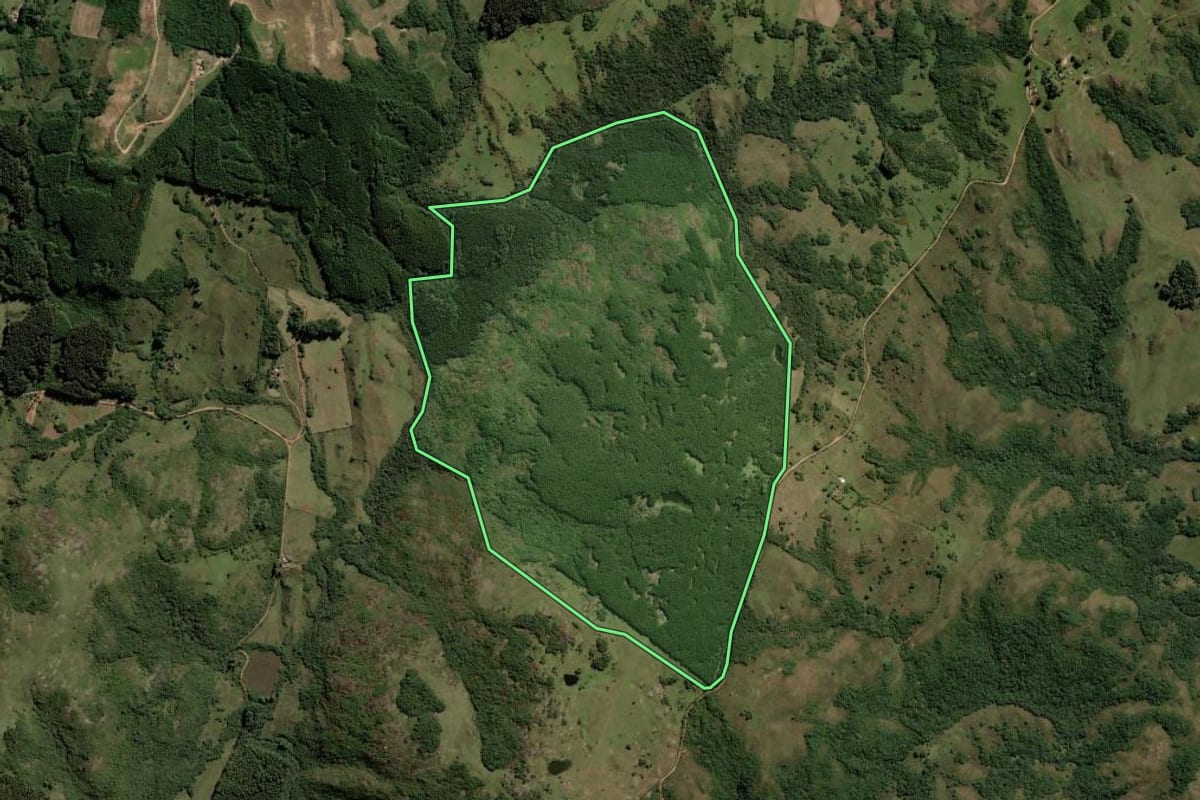 Imagem de satélite do imóvel rural em Dom Feliciano (RS), com o contorno declarado no CAR desenhado por cima.