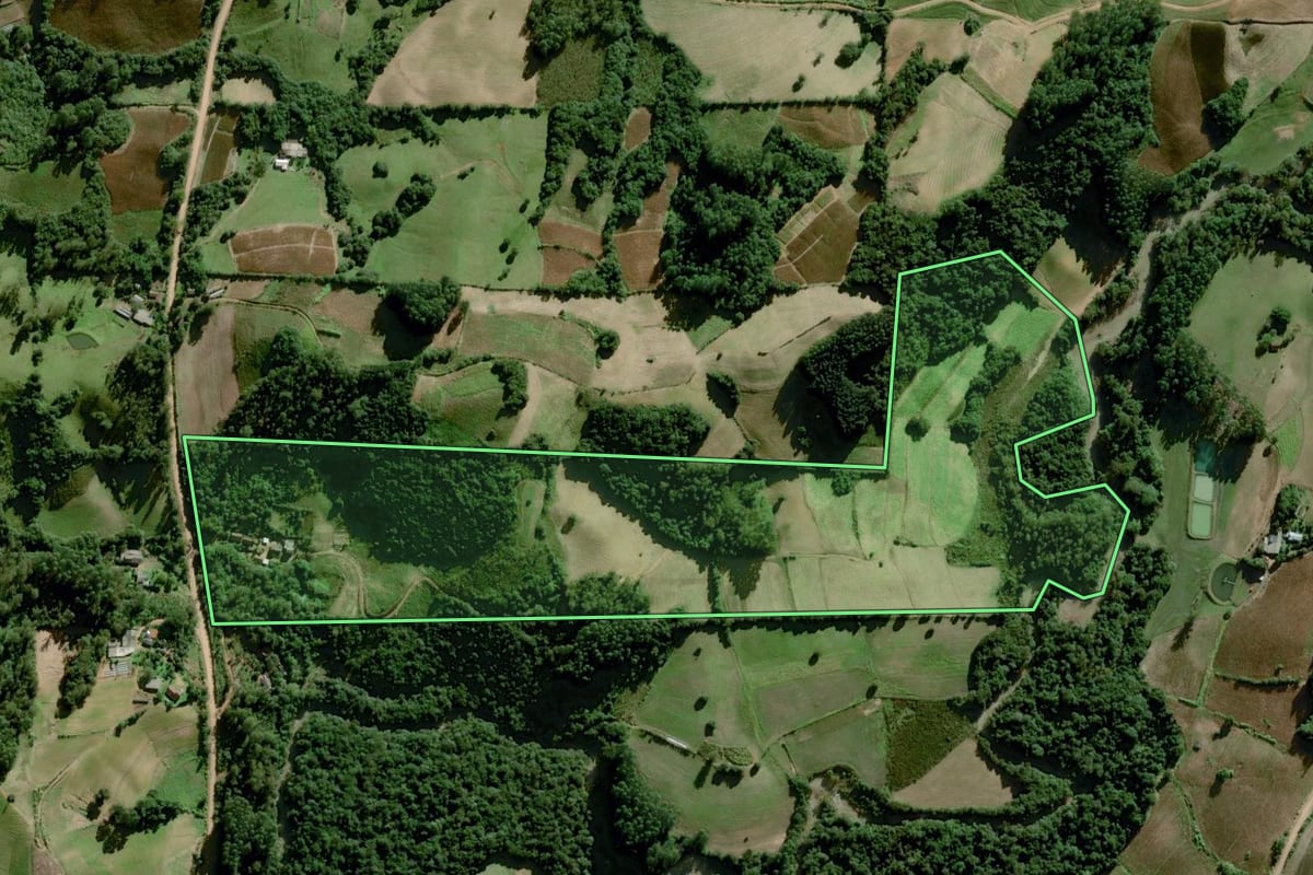 Imagem de satélite do imóvel rural em Dom Feliciano (RS), com o contorno declarado no CAR desenhado por cima.