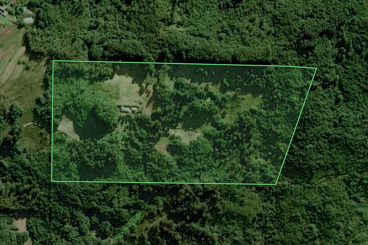 Imagem de satélite do imóvel rural em Dom Feliciano (RS), com o contorno declarado no CAR desenhado por cima.