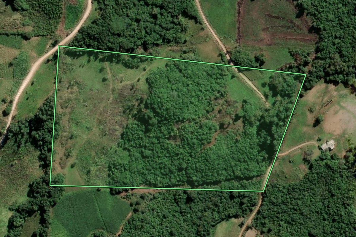 Imagem de satélite do imóvel rural em Dom Feliciano (RS), com o contorno declarado no CAR desenhado por cima.