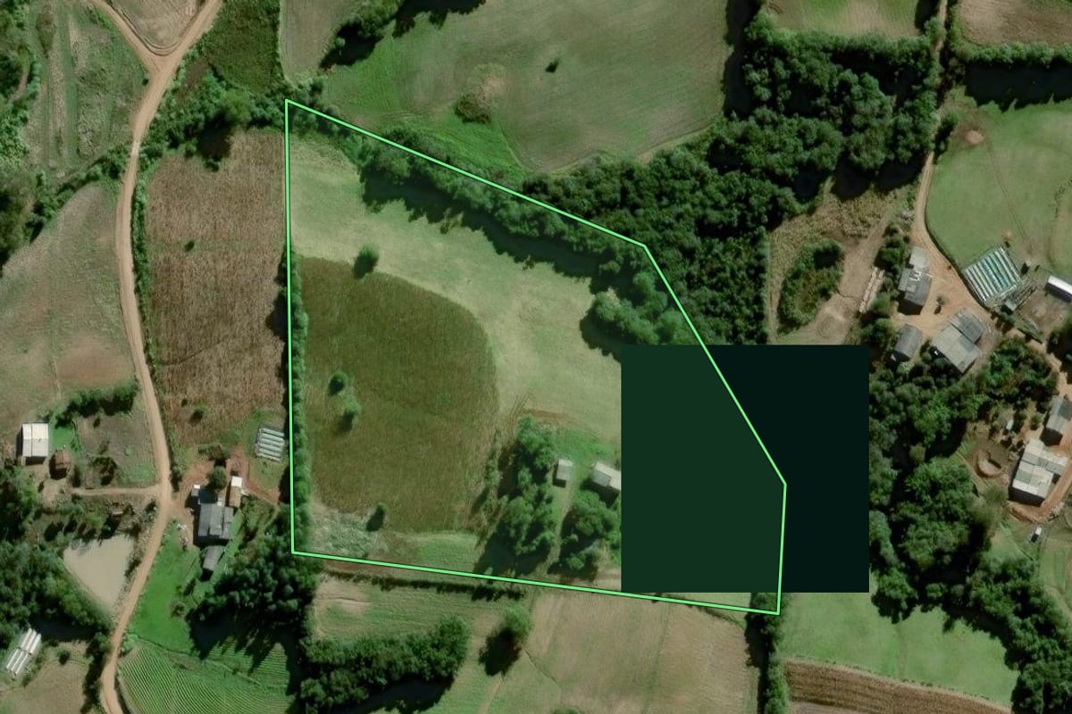 Imagem de satélite do imóvel rural em Dom Feliciano (RS), com o contorno declarado no CAR desenhado por cima.