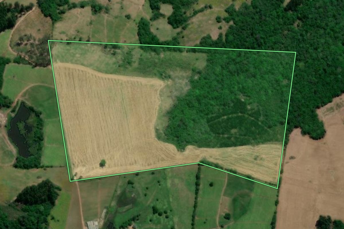 Imagem de satélite do imóvel rural em Dom Feliciano (RS), com o contorno declarado no CAR desenhado por cima.