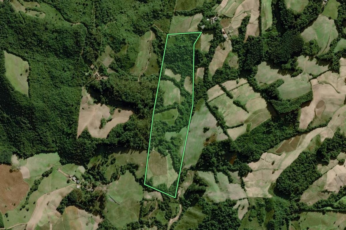 Imagem de satélite do imóvel rural em Dom Feliciano (RS), com o contorno declarado no CAR desenhado por cima.