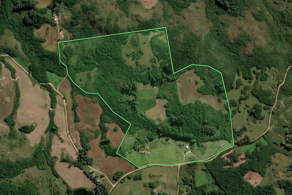 Imagem de satélite do imóvel rural em Dom Feliciano (RS), com o contorno declarado no CAR desenhado por cima.
