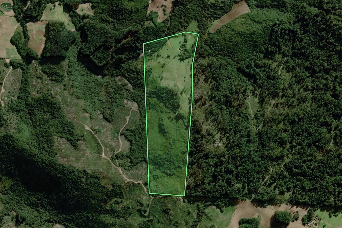 Imagem de satélite do imóvel rural em Dom Feliciano (RS), com o contorno declarado no CAR desenhado por cima.