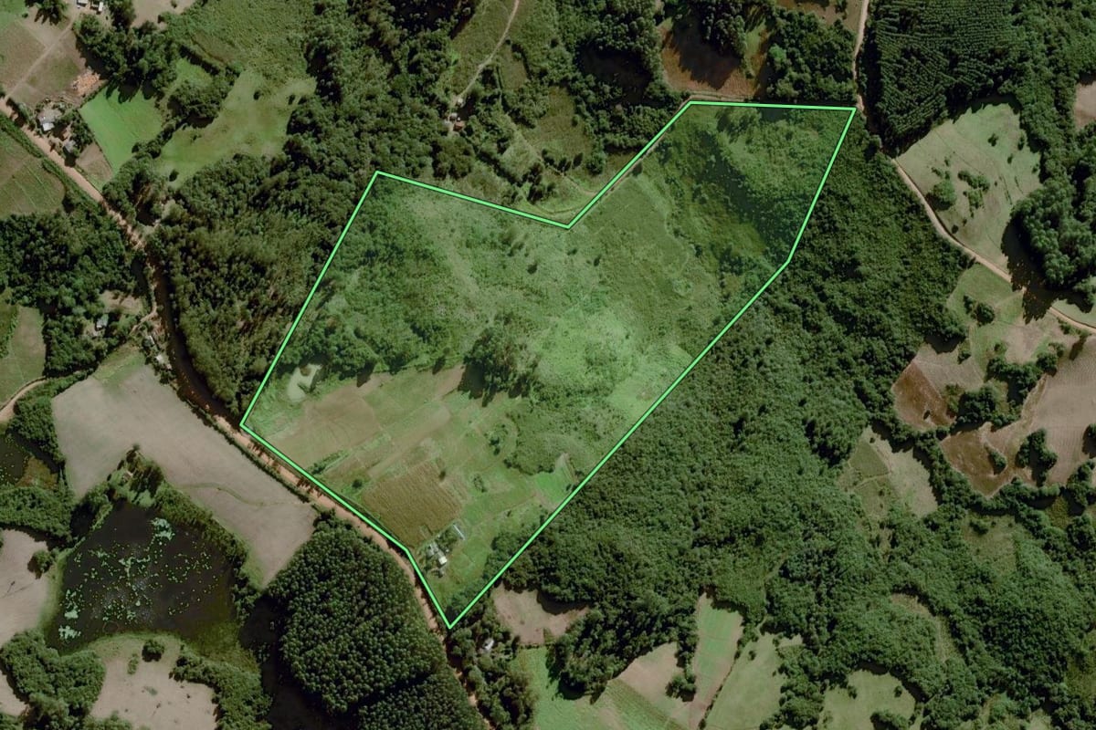 Imagem de satélite do imóvel rural em Dom Feliciano (RS), com o contorno declarado no CAR desenhado por cima.