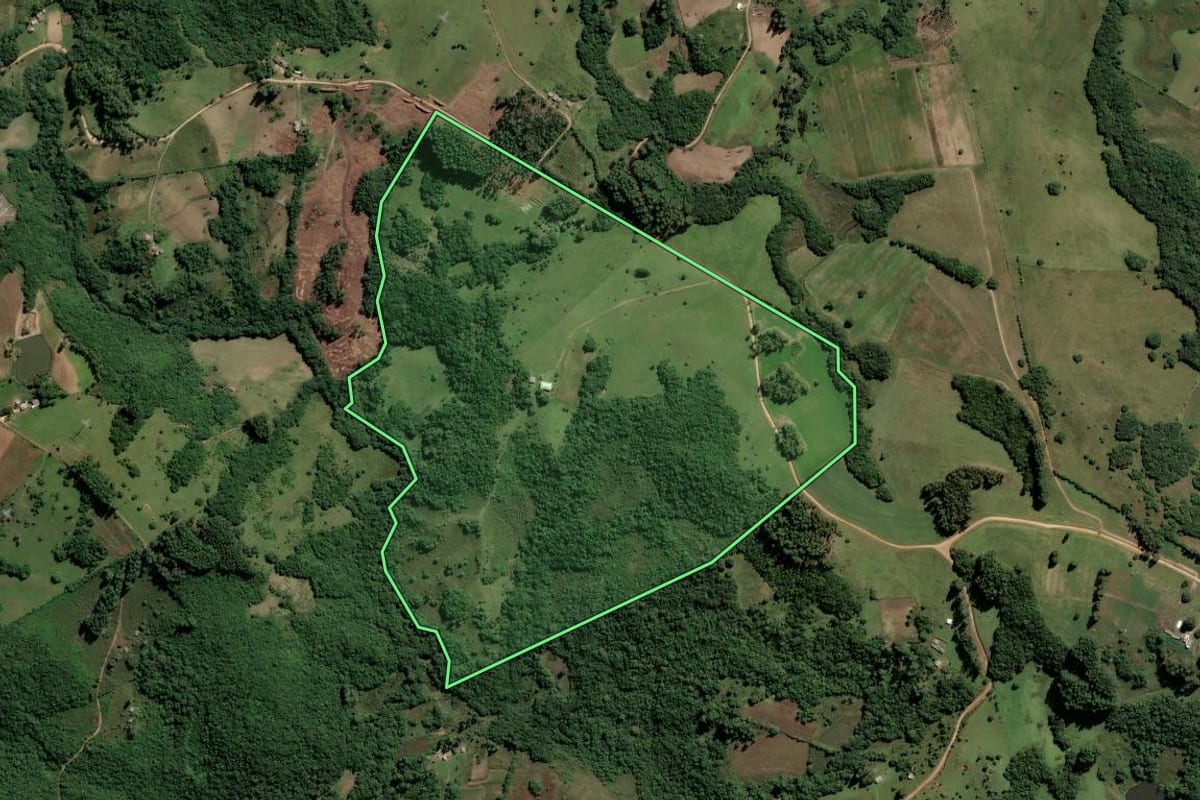Imagem de satélite do imóvel rural em Dom Feliciano (RS), com o contorno declarado no CAR desenhado por cima.