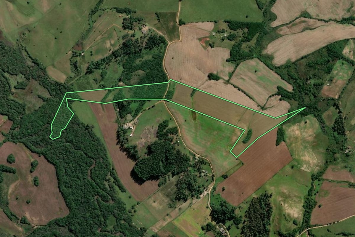 Imagem de satélite do imóvel rural em Dom Feliciano (RS), com o contorno declarado no CAR desenhado por cima.