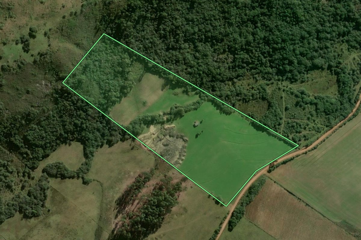Imagem de satélite do imóvel rural em Dom Feliciano (RS), com o contorno declarado no CAR desenhado por cima.