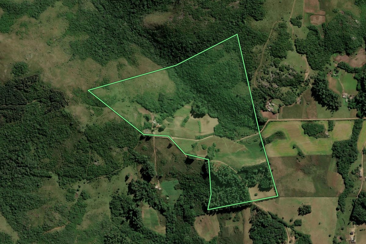 Imagem de satélite do imóvel rural em Dom Feliciano (RS), com o contorno declarado no CAR desenhado por cima.