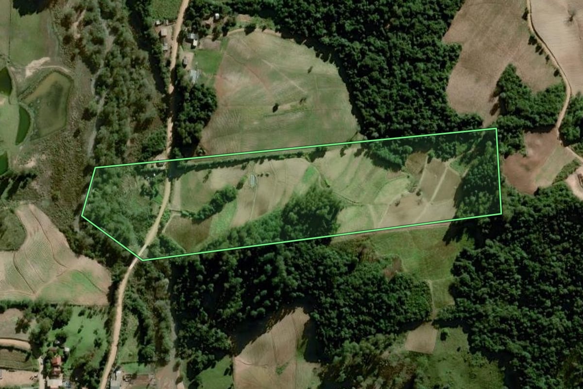 Imagem de satélite do imóvel rural em Dom Feliciano (RS), com o contorno declarado no CAR desenhado por cima.