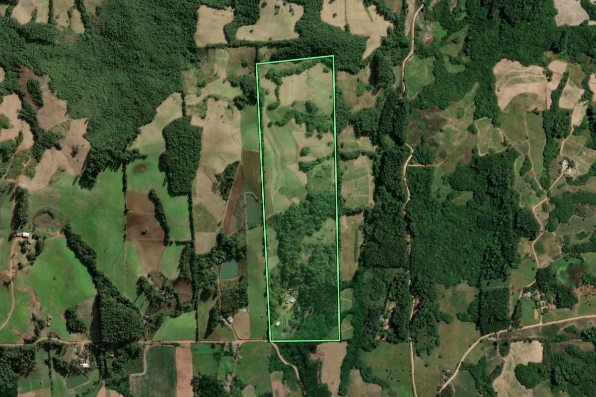 Imagem de satélite do imóvel rural em Dom Feliciano (RS), com o contorno declarado no CAR desenhado por cima.