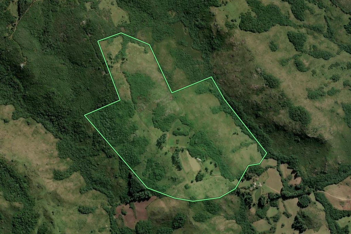 Imagem de satélite do imóvel rural em Dom Feliciano (RS), com o contorno declarado no CAR desenhado por cima.