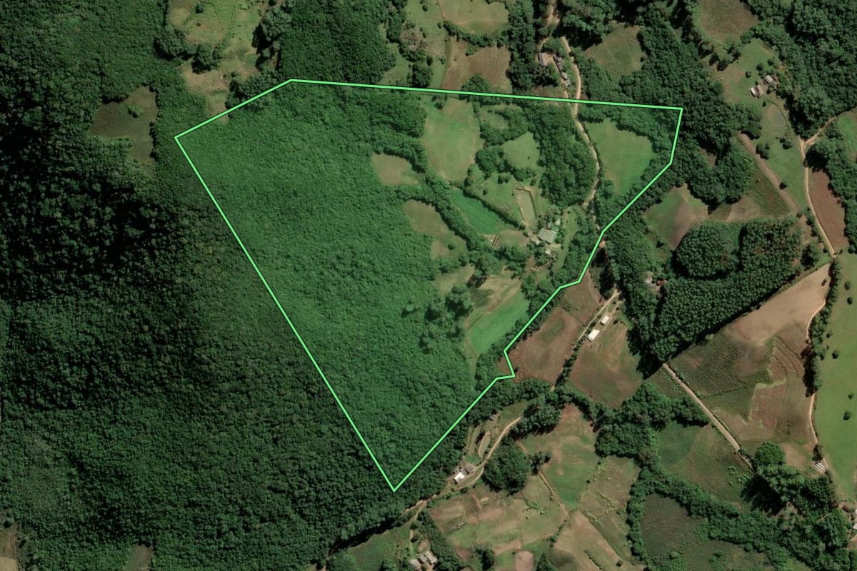 Imagem de satélite do imóvel rural em Dom Feliciano (RS), com o contorno declarado no CAR desenhado por cima.