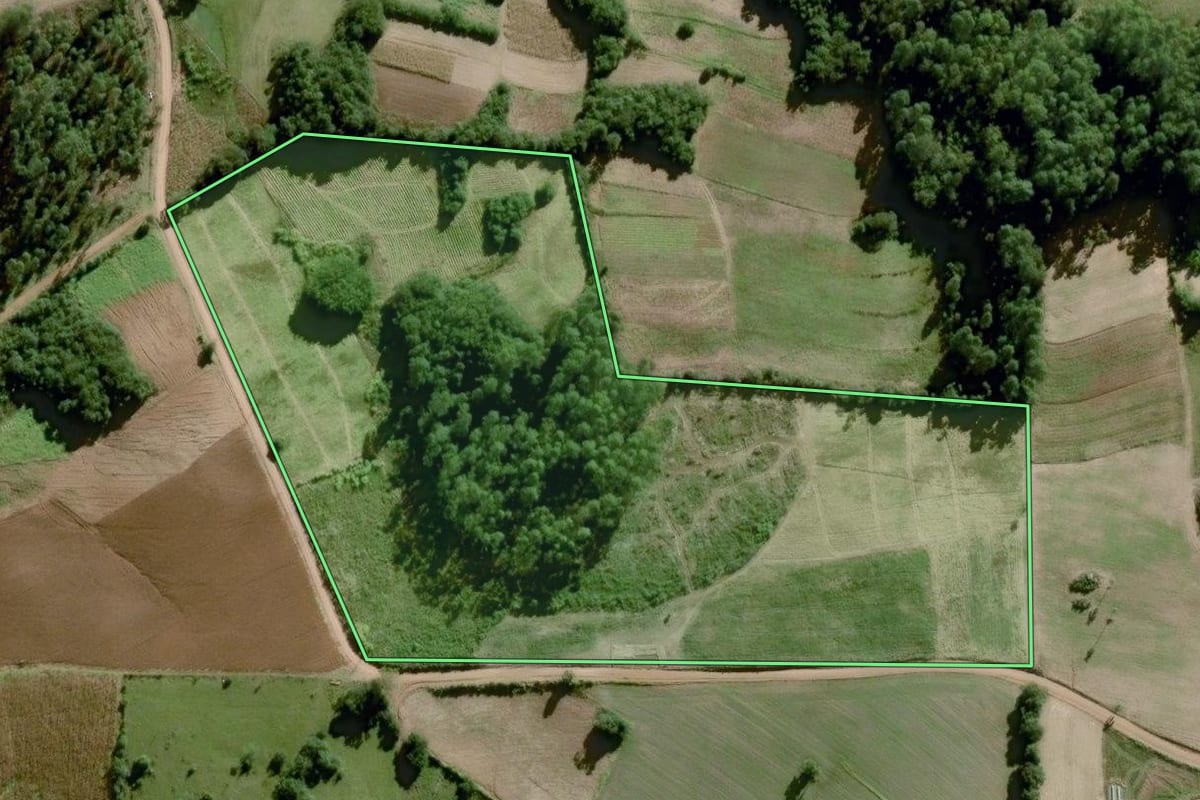 Imagem de satélite do imóvel rural em Dom Feliciano (RS), com o contorno declarado no CAR desenhado por cima.