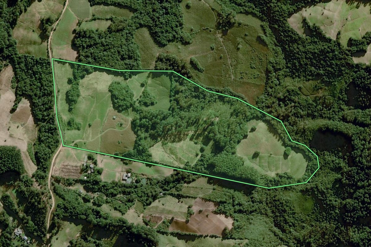 Imagem de satélite do imóvel rural em Dom Feliciano (RS), com o contorno declarado no CAR desenhado por cima.