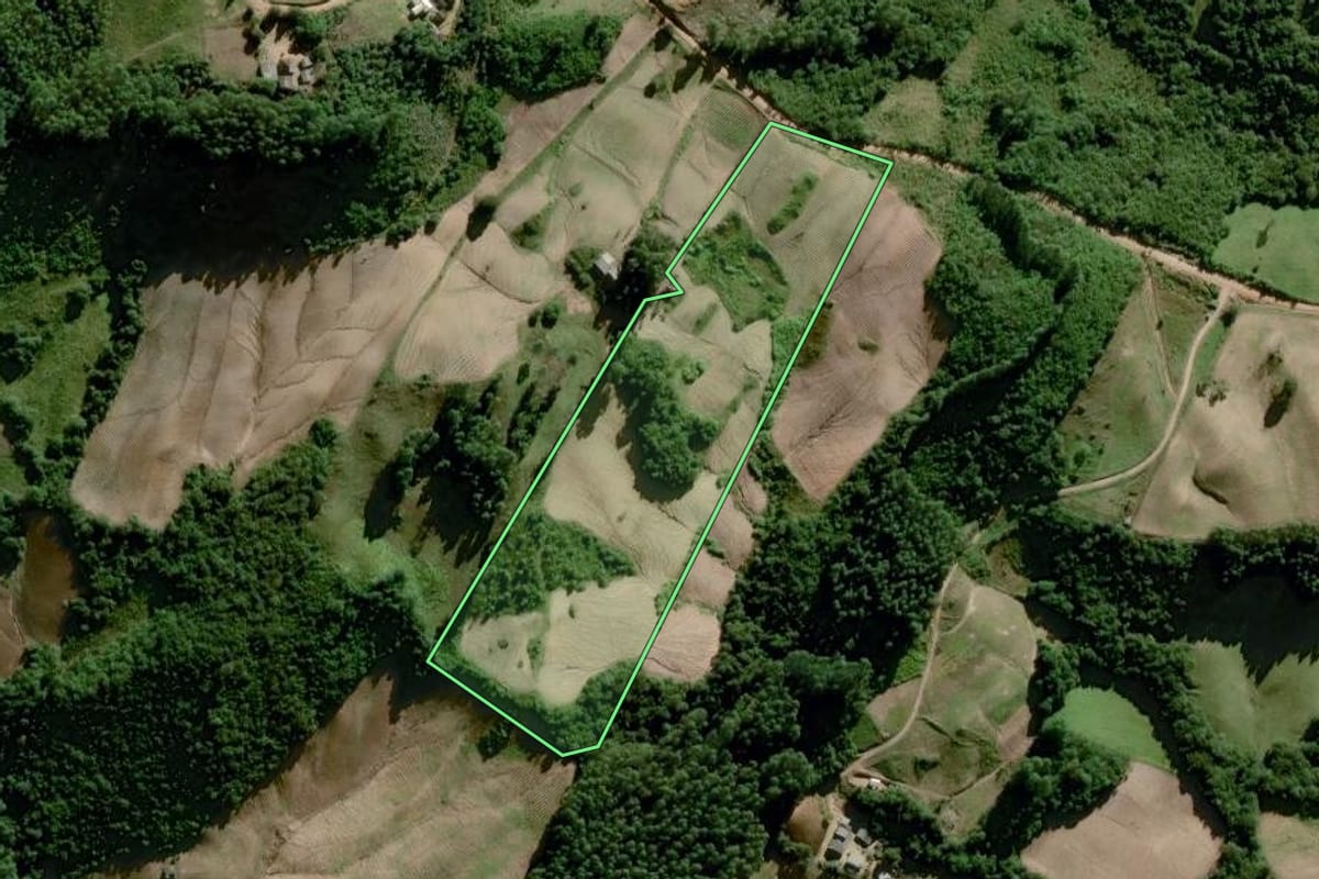 Imagem de satélite do imóvel rural em Dom Feliciano (RS), com o contorno declarado no CAR desenhado por cima.