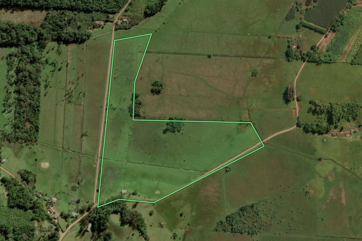 Imagem de satélite do imóvel rural em Dom Pedro de Alcântara (RS), com o contorno declarado no CAR desenhado por cima.