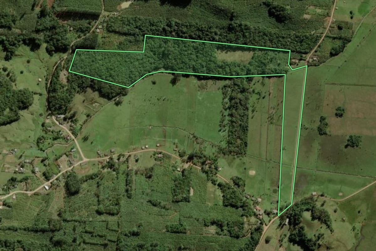 Imagem de satélite do imóvel rural em Dom Pedro de Alcântara (RS), com o contorno declarado no CAR desenhado por cima.