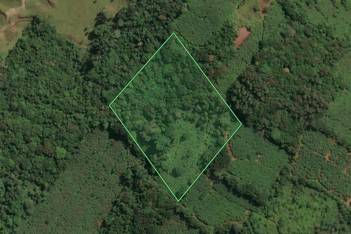 Imagem de satélite do imóvel rural em Dom Pedro de Alcântara (RS), com o contorno declarado no CAR desenhado por cima.