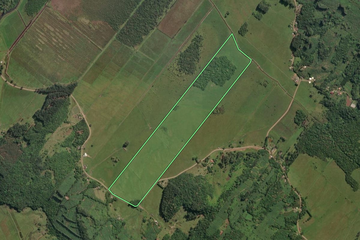 Imagem de satélite do imóvel rural em Dom Pedro de Alcântara (RS), com o contorno declarado no CAR desenhado por cima.