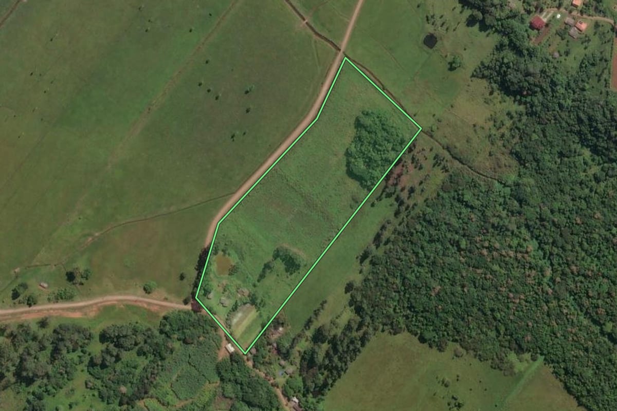 Imagem de satélite do imóvel rural em Dom Pedro de Alcântara (RS), com o contorno declarado no CAR desenhado por cima.