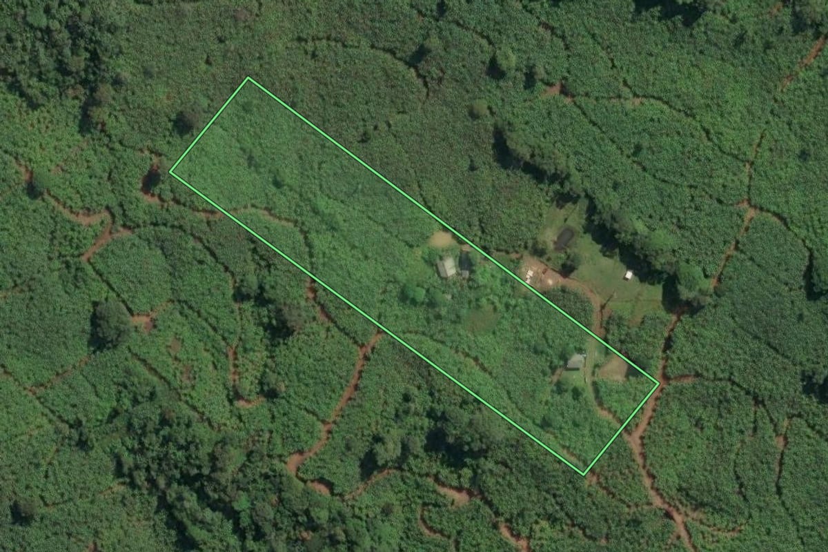 Imagem de satélite do imóvel rural em Dom Pedro de Alcântara (RS), com o contorno declarado no CAR desenhado por cima.