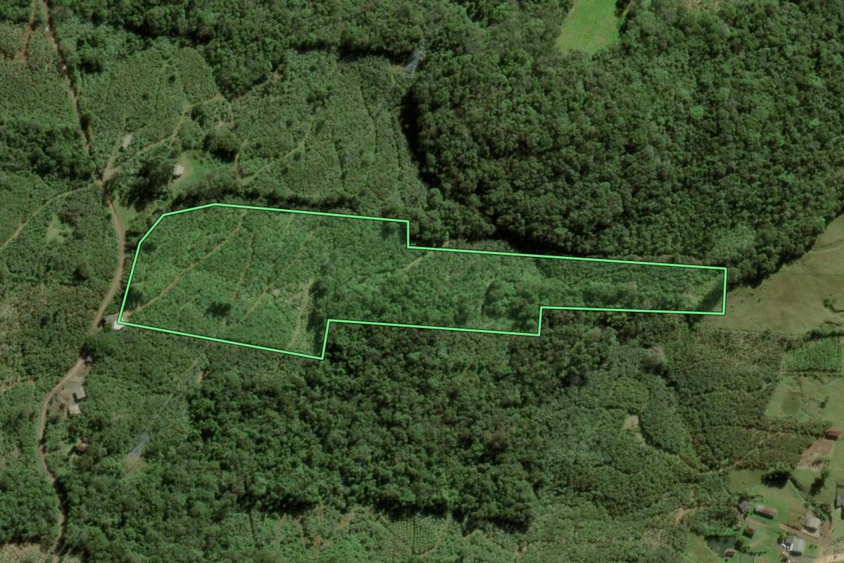 Imagem de satélite do imóvel rural em Dom Pedro de Alcântara (RS), com o contorno declarado no CAR desenhado por cima.