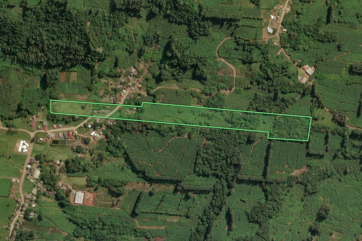 Imagem de satélite do imóvel rural em Dom Pedro de Alcântara (RS), com o contorno declarado no CAR desenhado por cima.