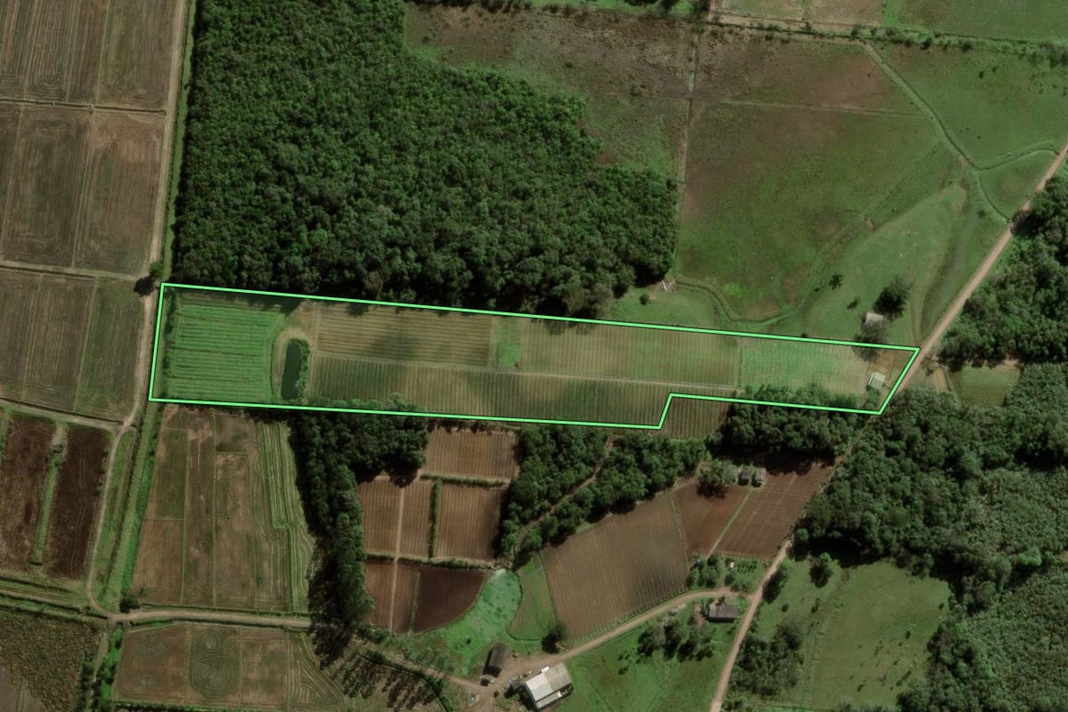 Imagem de satélite do imóvel rural em Dom Pedro de Alcântara (RS), com o contorno declarado no CAR desenhado por cima.
