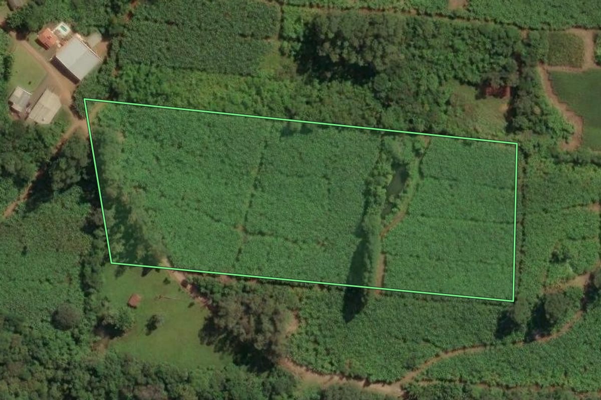 Imagem de satélite do imóvel rural em Dom Pedro de Alcântara (RS), com o contorno declarado no CAR desenhado por cima.