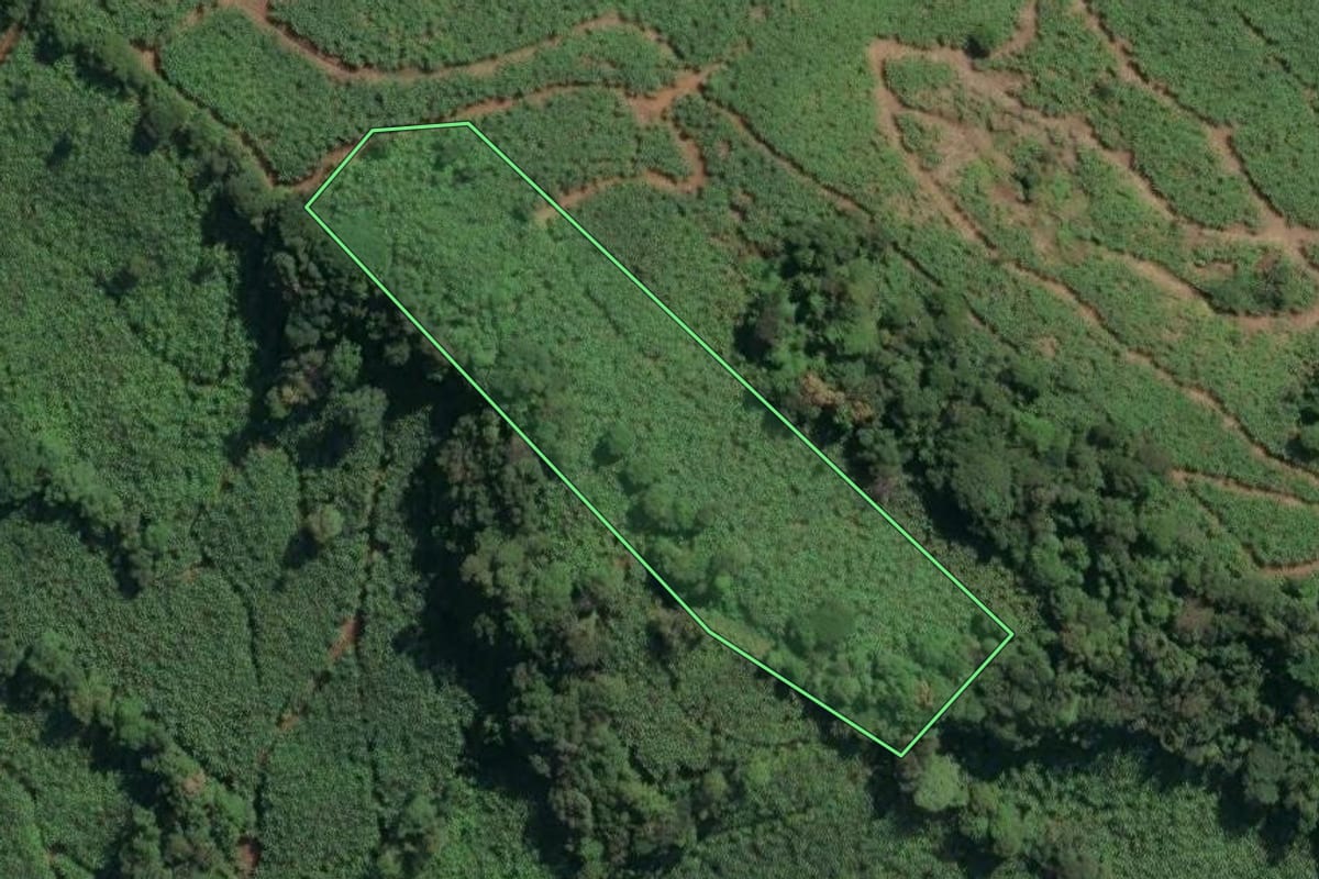 Imagem de satélite do imóvel rural em Dom Pedro de Alcântara (RS), com o contorno declarado no CAR desenhado por cima.