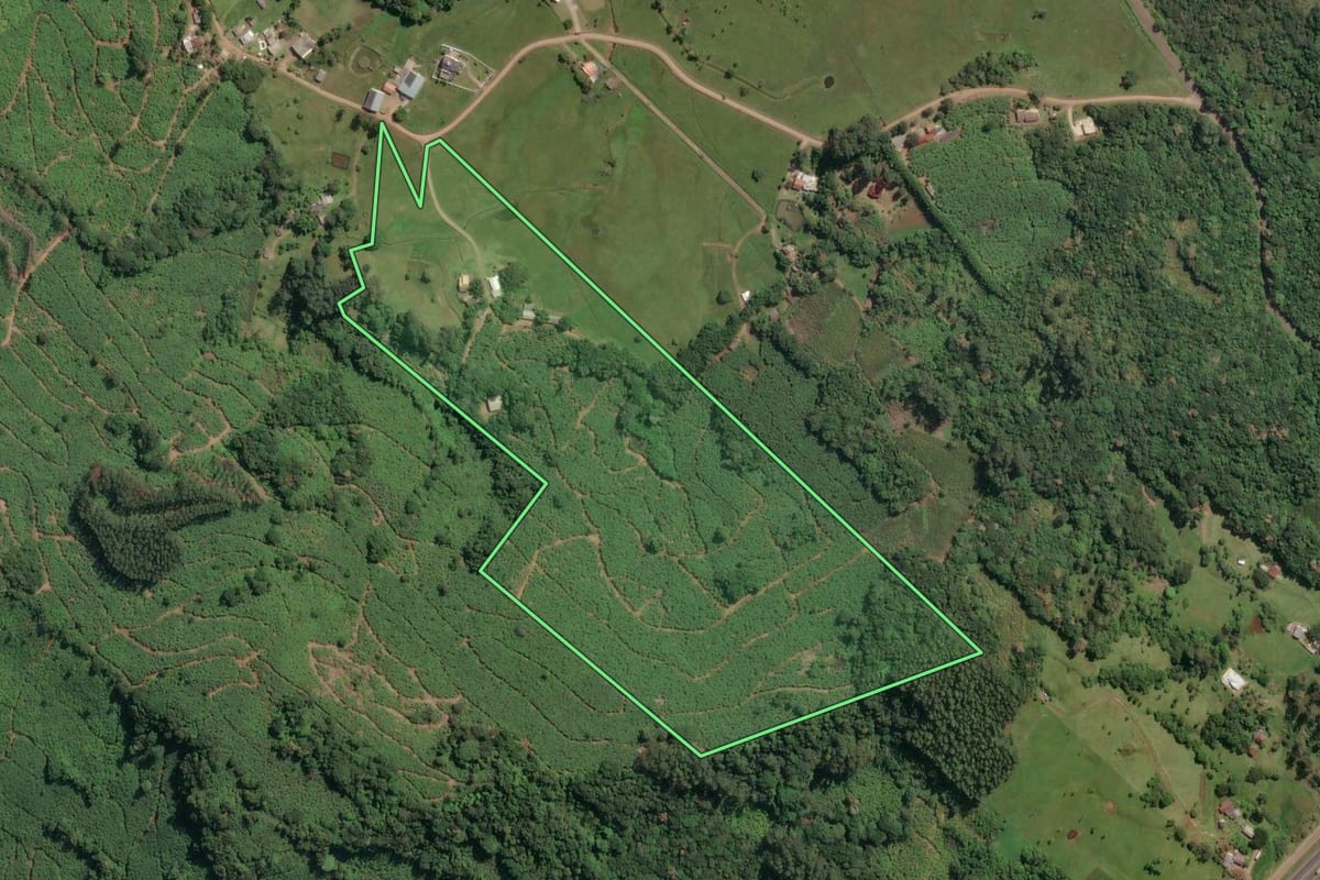 Imagem de satélite do imóvel rural em Dom Pedro de Alcântara (RS), com o contorno declarado no CAR desenhado por cima.