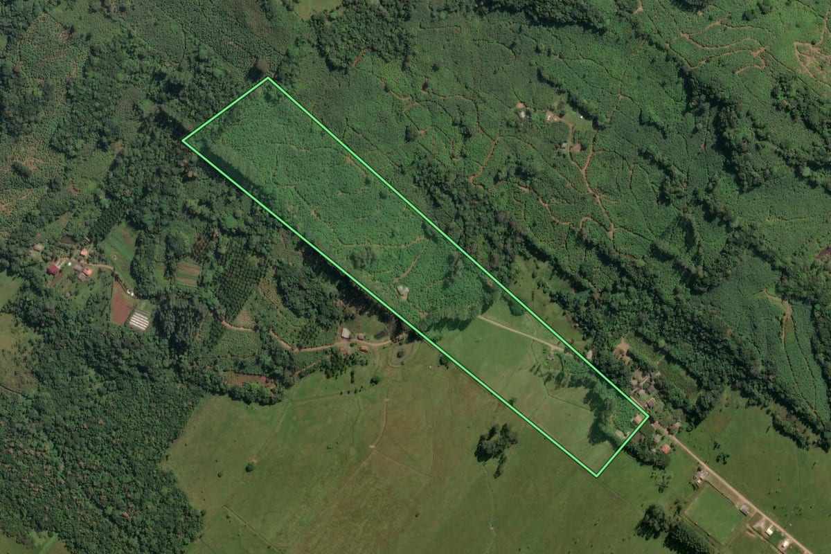 Imagem de satélite do imóvel rural em Dom Pedro de Alcântara (RS), com o contorno declarado no CAR desenhado por cima.