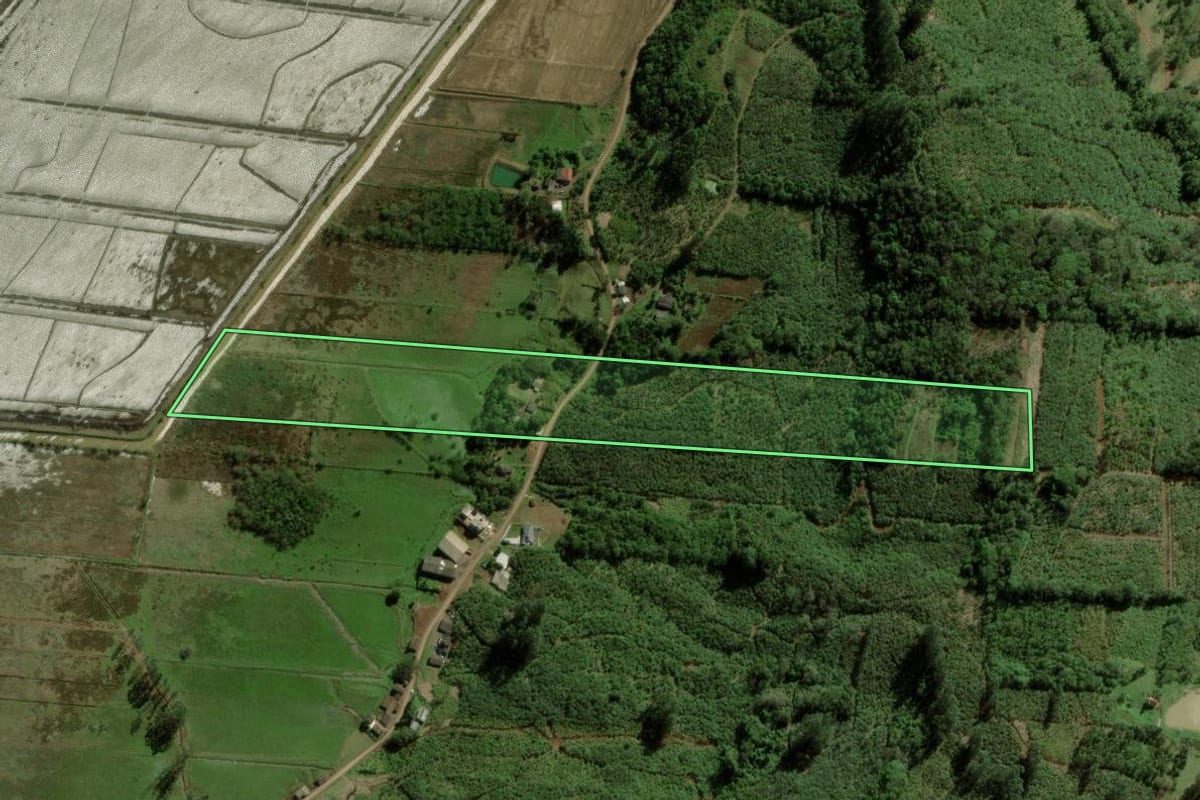 Imagem de satélite do imóvel rural em Dom Pedro de Alcântara (RS), com o contorno declarado no CAR desenhado por cima.