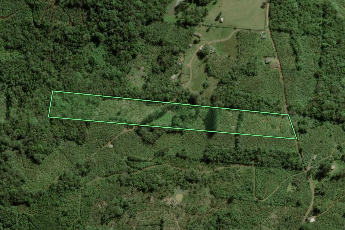 Imagem de satélite do imóvel rural em Dom Pedro de Alcântara (RS), com o contorno declarado no CAR desenhado por cima.