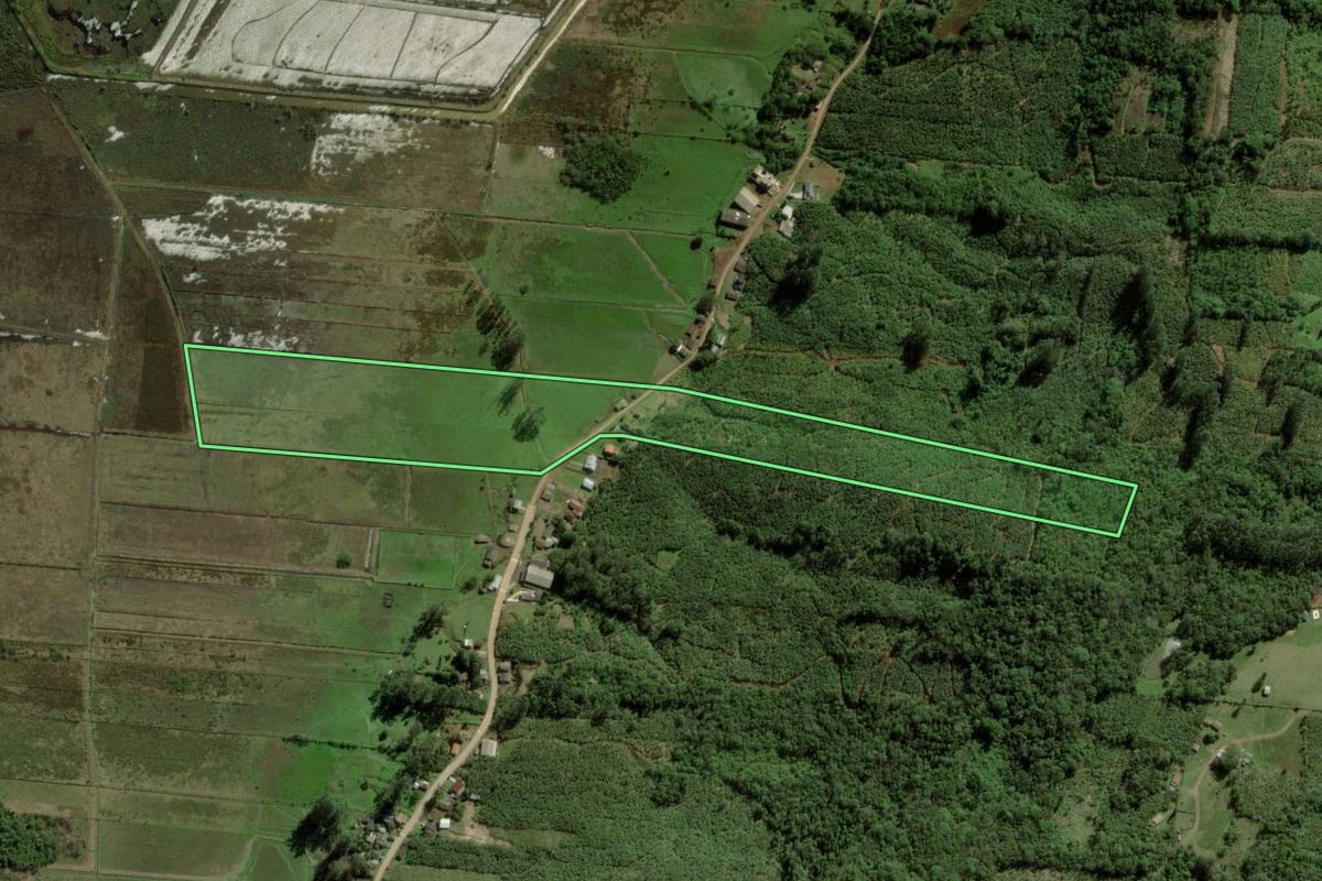 Imagem de satélite do imóvel rural em Dom Pedro de Alcântara (RS), com o contorno declarado no CAR desenhado por cima.