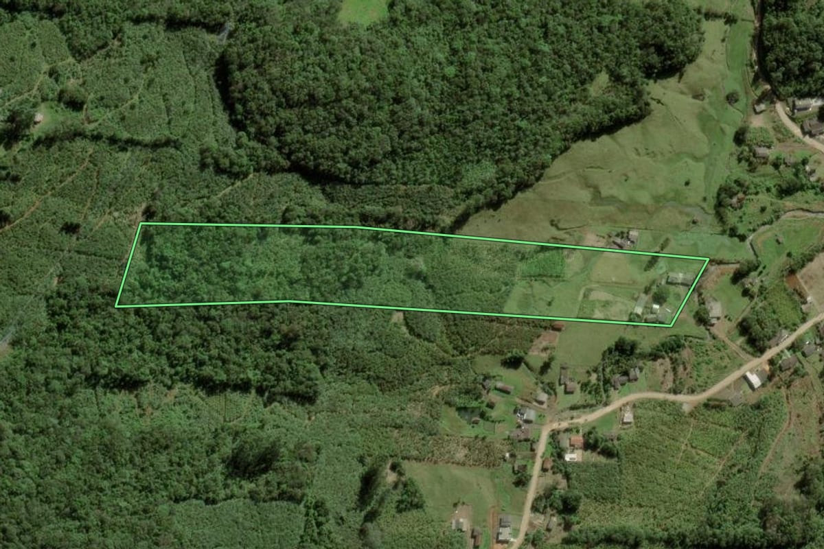 Imagem de satélite do imóvel rural em Dom Pedro de Alcântara (RS), com o contorno declarado no CAR desenhado por cima.