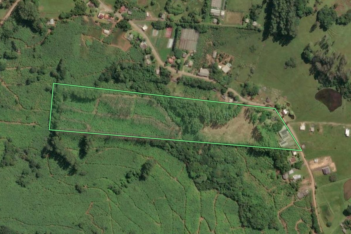Imagem de satélite do imóvel rural em Dom Pedro de Alcântara (RS), com o contorno declarado no CAR desenhado por cima.