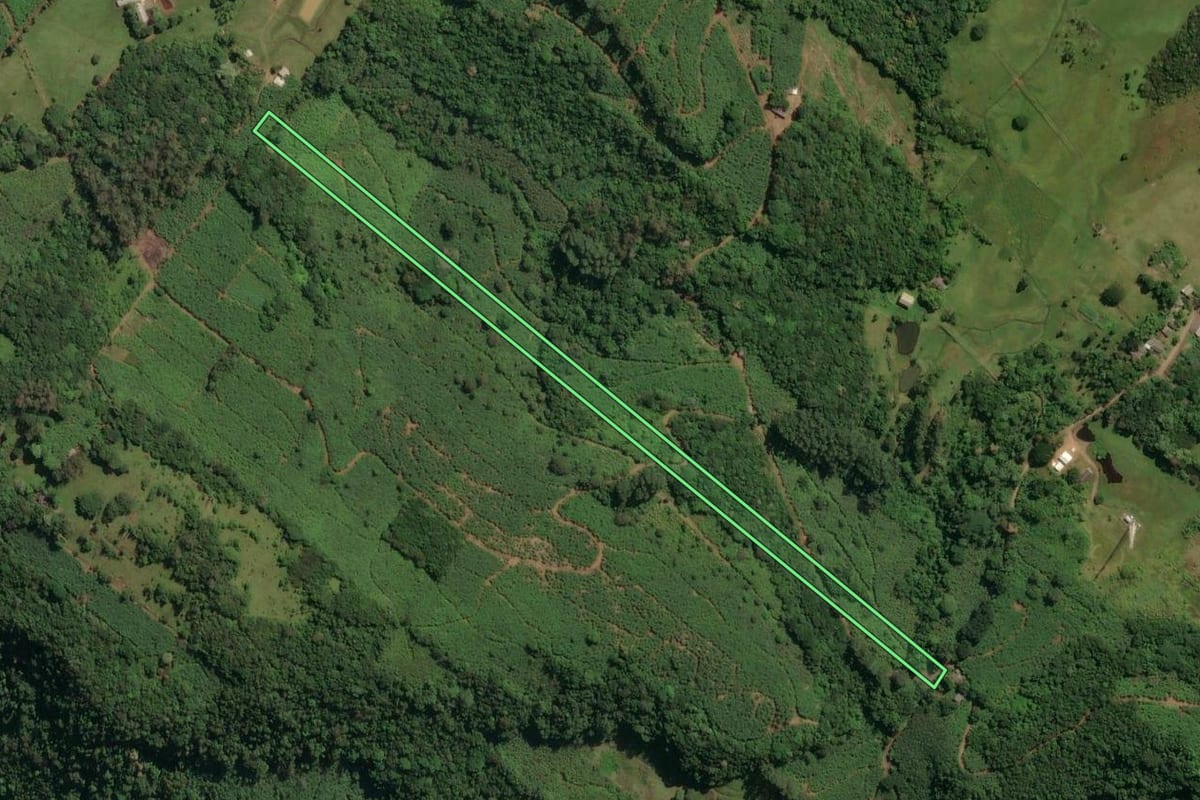 Imagem de satélite do imóvel rural em Dom Pedro de Alcântara (RS), com o contorno declarado no CAR desenhado por cima.