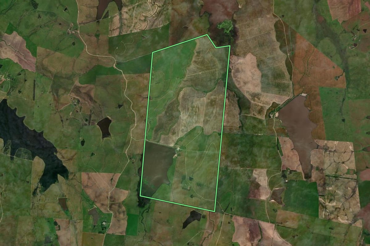 Imagem de satélite do imóvel rural em Dom Pedrito (RS), com o contorno declarado no CAR desenhado por cima.