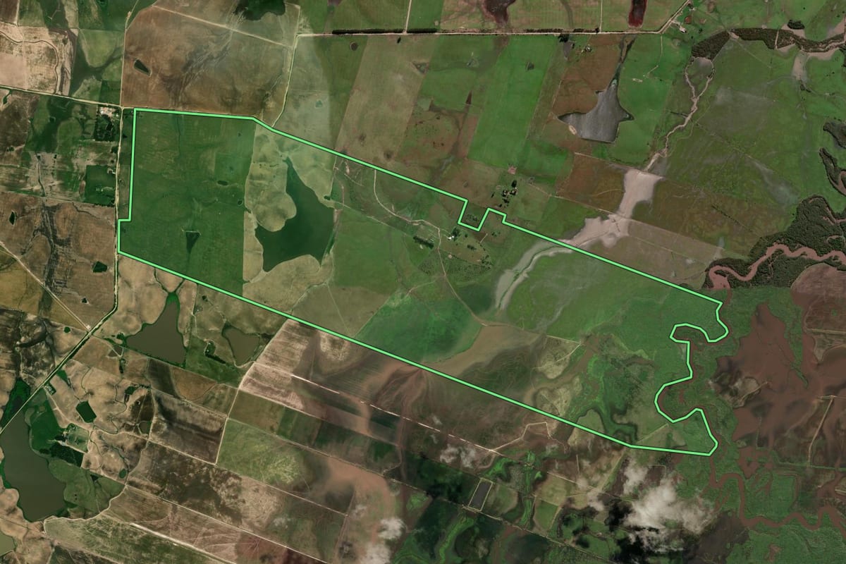 Imagem de satélite do imóvel rural em Dom Pedrito (RS), com o contorno declarado no CAR desenhado por cima.