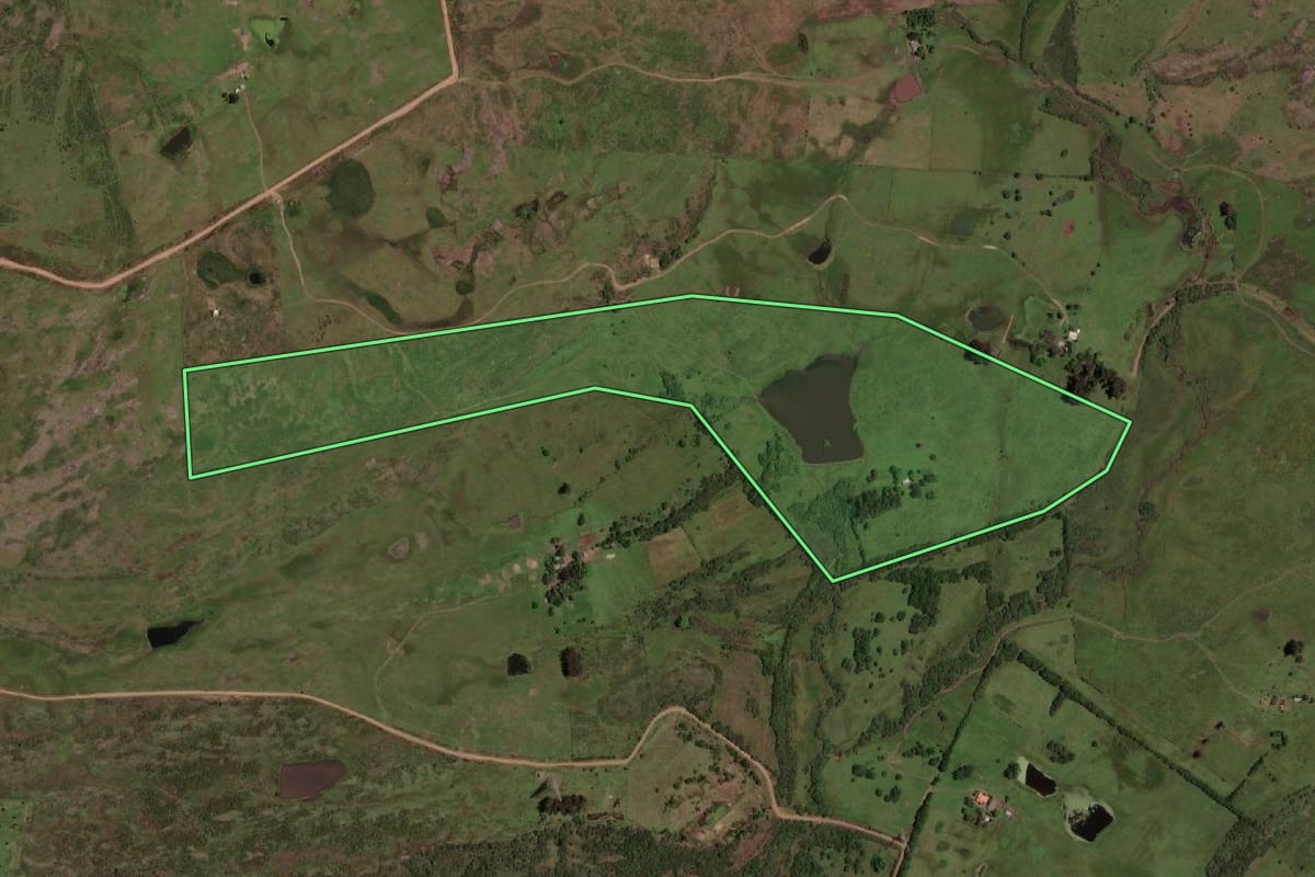 Imagem de satélite do imóvel rural em Dom Pedrito (RS), com o contorno declarado no CAR desenhado por cima.