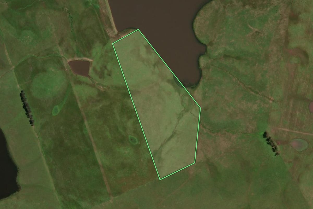 Imagem de satélite do imóvel rural em Dom Pedrito (RS), com o contorno declarado no CAR desenhado por cima.