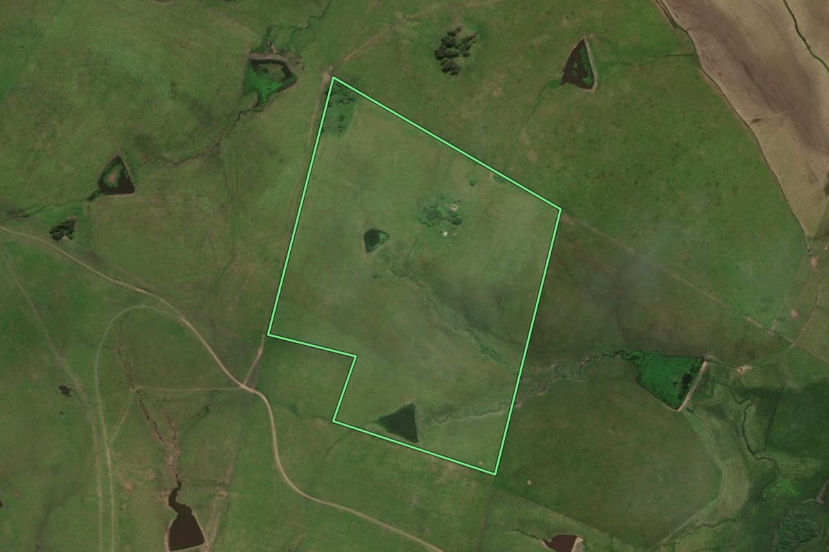 Imagem de satélite do imóvel rural em Dom Pedrito (RS), com o contorno declarado no CAR desenhado por cima.