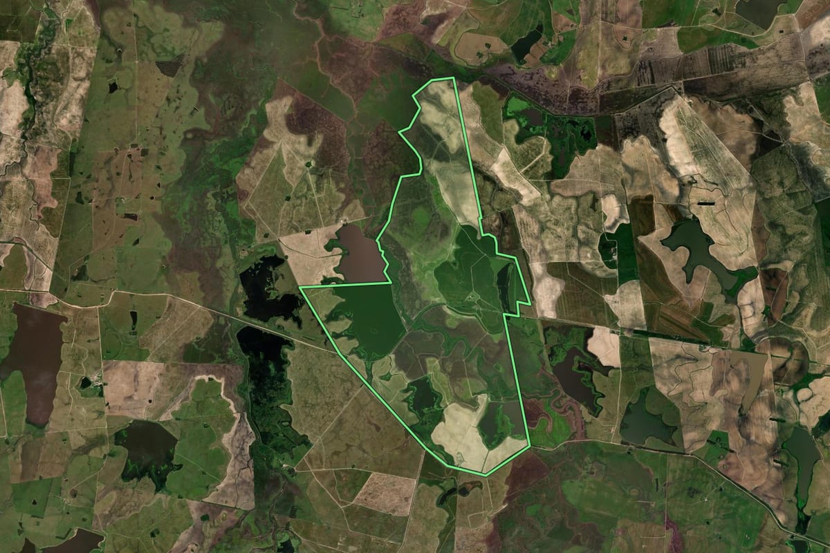 Imagem de satélite do imóvel rural em Dom Pedrito (RS), com o contorno declarado no CAR desenhado por cima.