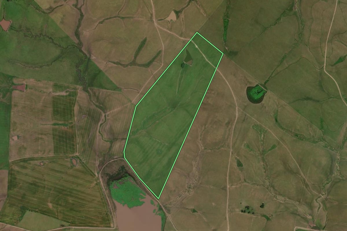 Imagem de satélite do imóvel rural em Dom Pedrito (RS), com o contorno declarado no CAR desenhado por cima.