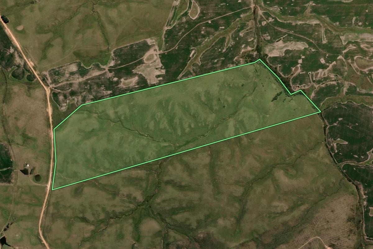 Imagem de satélite do imóvel rural em Dom Pedrito (RS), com o contorno declarado no CAR desenhado por cima.